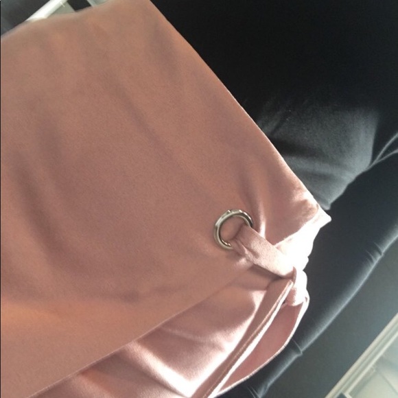 Blush Suede Skirt - Picture 4 of 6